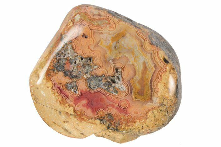 Polished Banded Fairburn Agate - Nebraska #189400